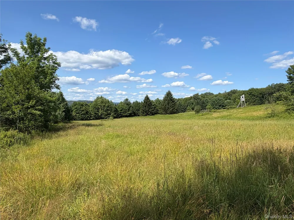 Bert Medlar Road Hancock, NY 13783