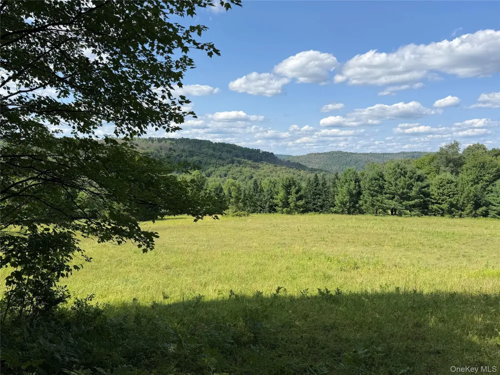 Bert Medlar Road Hancock, NY 13783