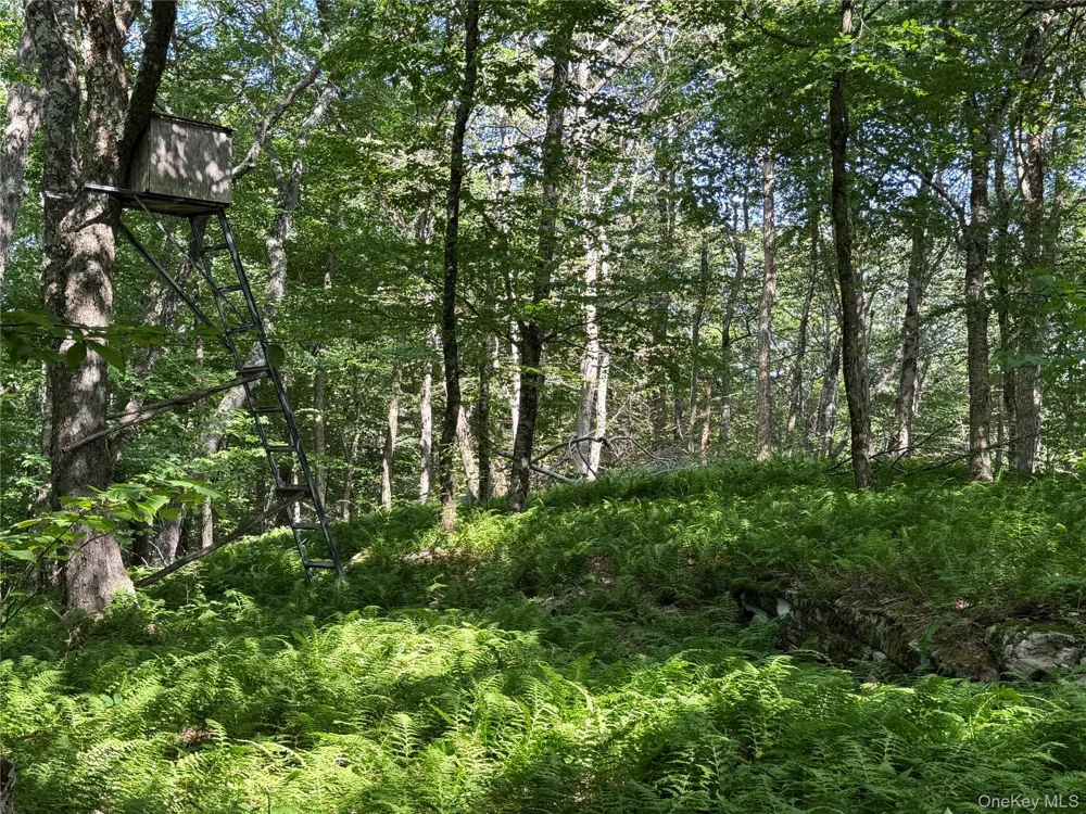 Bert Medlar Road Hancock, NY 13783