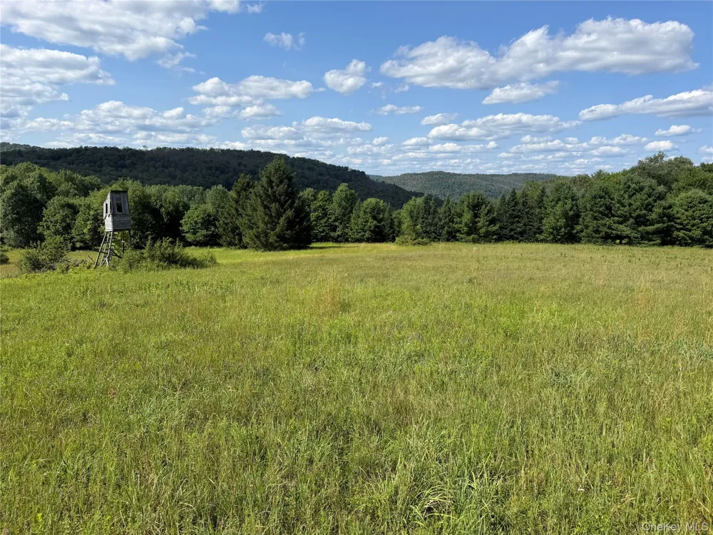 Bert Medlar Road Hancock, NY 13783