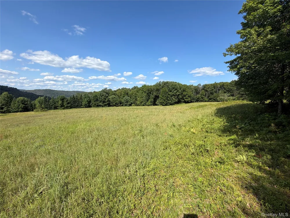 Bert Medlar Road Hancock, NY 13783