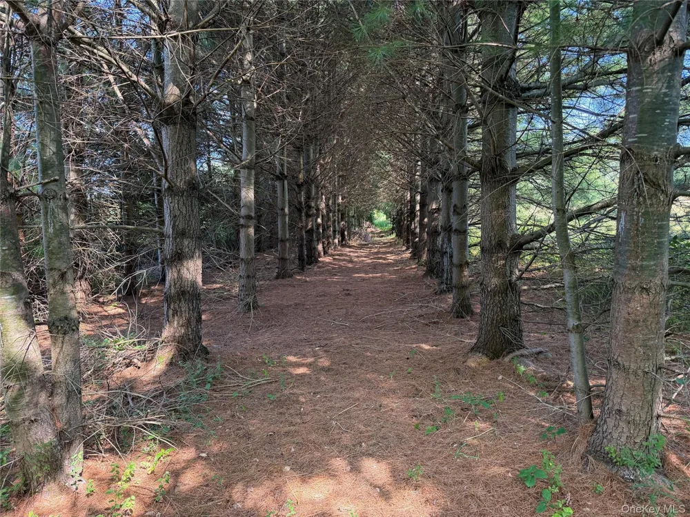 Bert Medlar Road Hancock, NY 13783