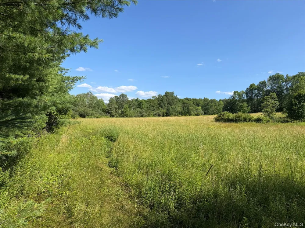Bert Medlar Road Hancock, NY 13783
