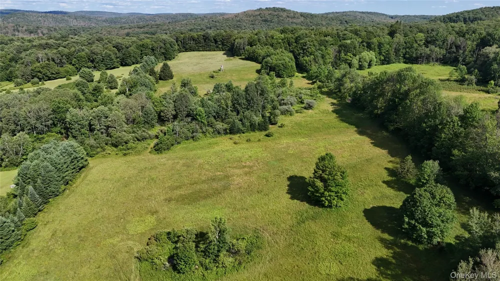 Bert Medlar Road Hancock, NY 13783
