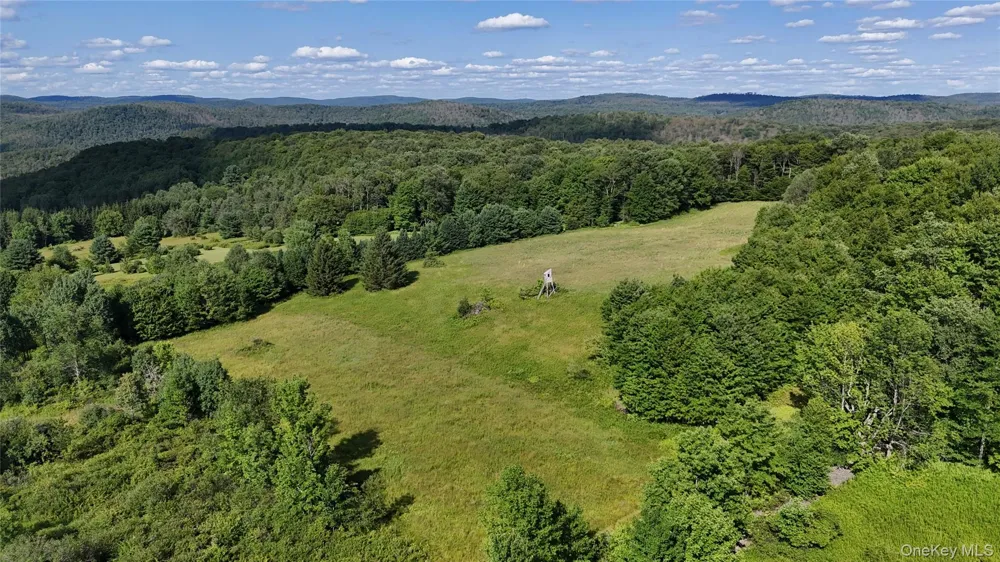 Bert Medlar Road Hancock, NY 13783