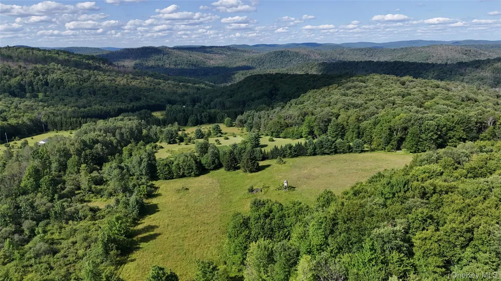 Bert Medlar Road Hancock, NY 13783