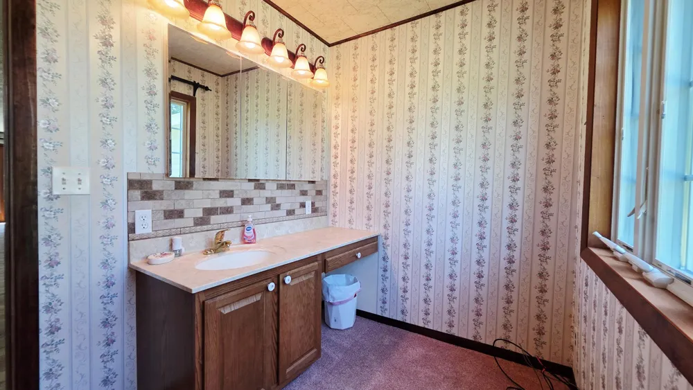 2151 E Coral Road NE Edmore, MI 48829