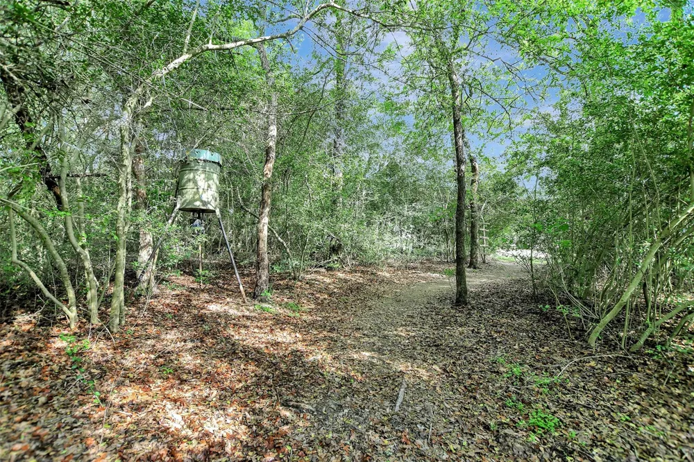 1196 Evelyn Court Franklin, TX 77856