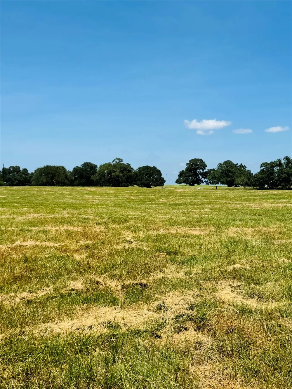 9821 W Us Hwy 90 Flatonia, TX 78941