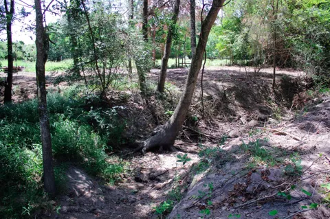 13 Acres Greenbriar Road