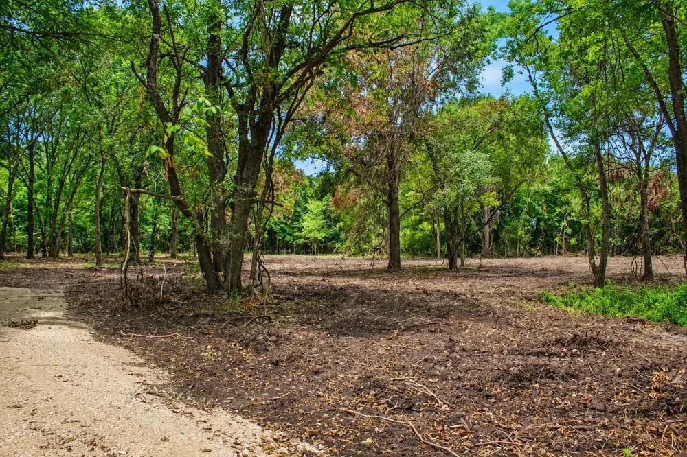 13 Acres Greenbriar Road Madisonville, TX 77864