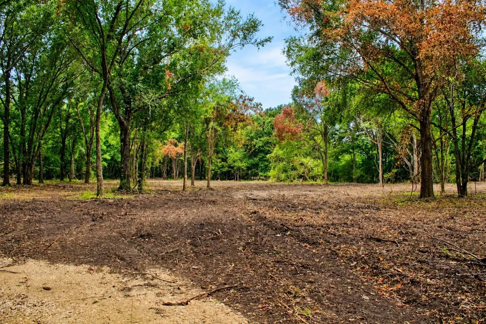 13 Acres Greenbriar Road Madisonville, TX 77864