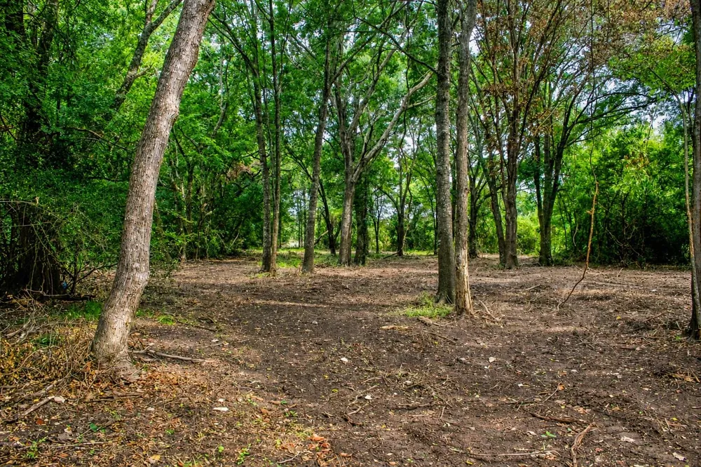 13 Acres Greenbriar Road Madisonville, TX 77864