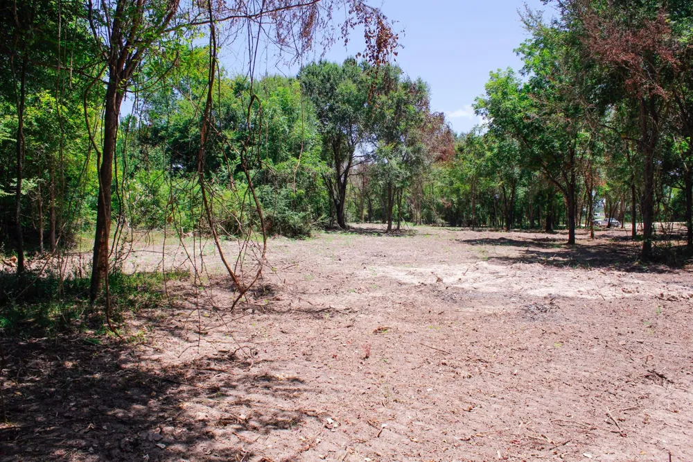 13 Acres Greenbriar Road Madisonville, TX 77864