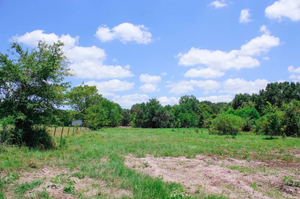 13 Acres Greenbriar Road Madisonville, TX 77864
