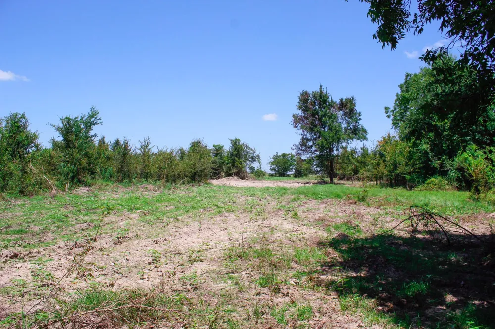 13 Acres Greenbriar Road Madisonville, TX 77864