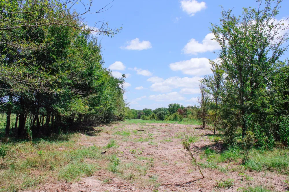 13 Acres Greenbriar Road Madisonville, TX 77864