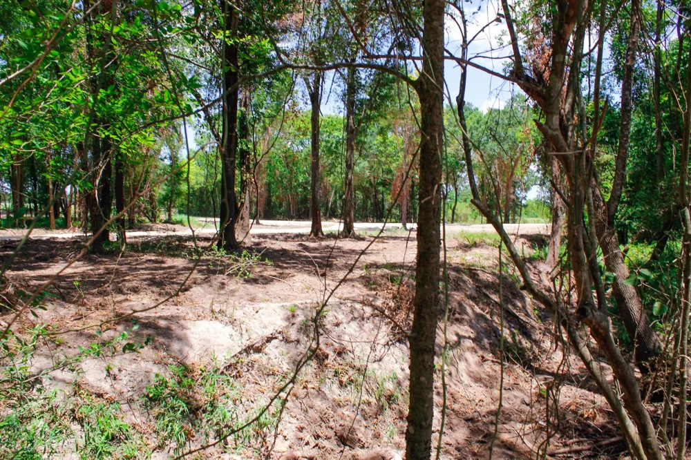 13 Acres Greenbriar Road Madisonville, TX 77864