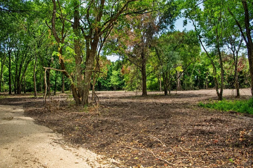 13 Acres Greenbriar Road Madisonville, TX 77864