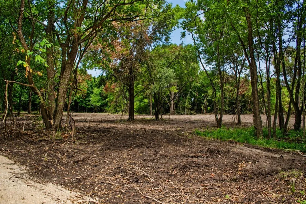 13 Acres Greenbriar Road Madisonville, TX 77864
