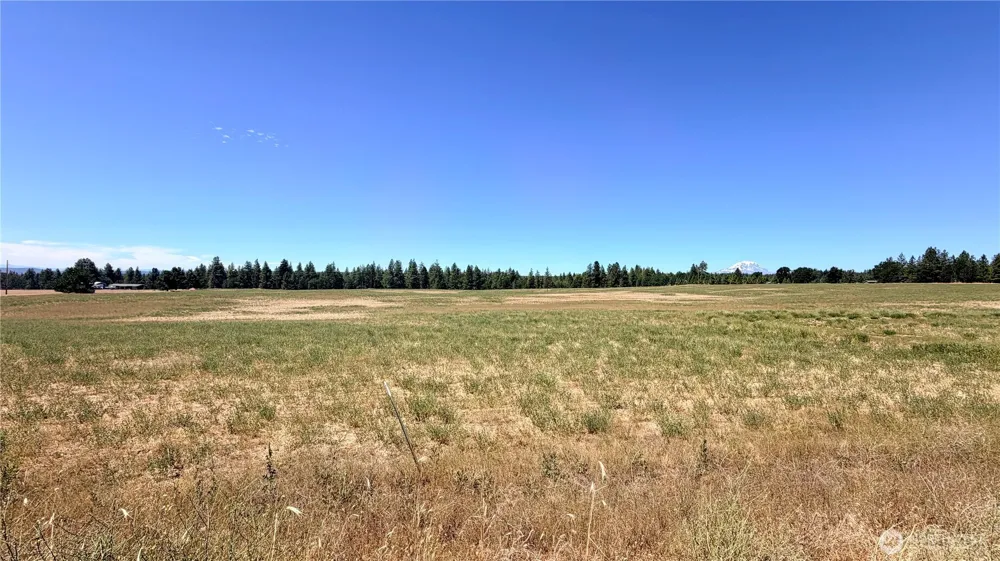15 Lot 3 Buena Vista Road Goldendale, WA 98620