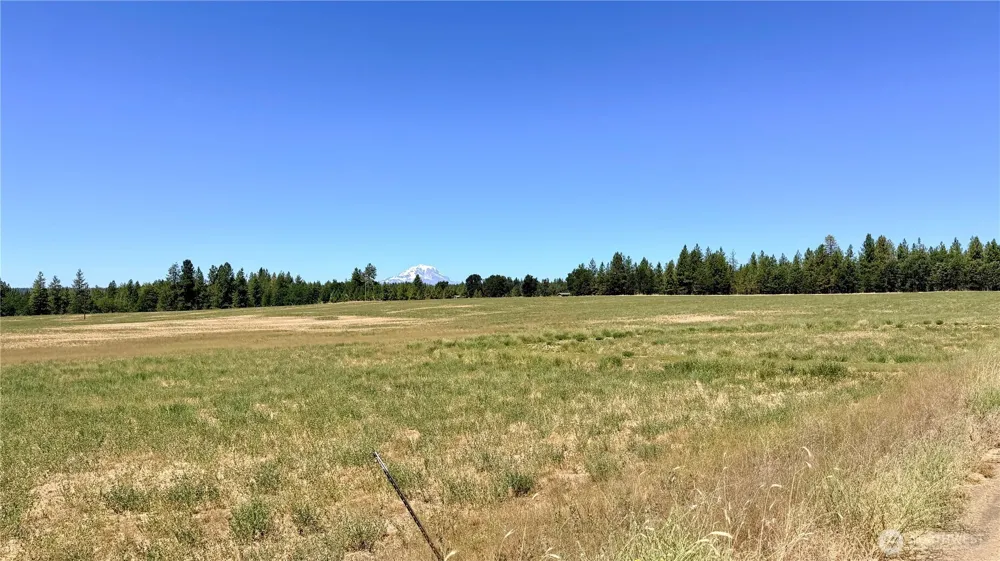 15 Lot 3 Buena Vista Road Goldendale, WA 98620