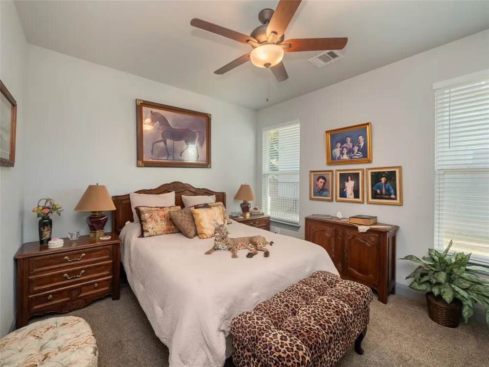 308 Buckhorn Drive Lago Vista, TX 78645