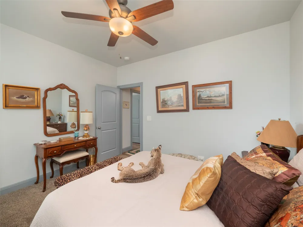 308 Buckhorn Drive Lago Vista, TX 78645