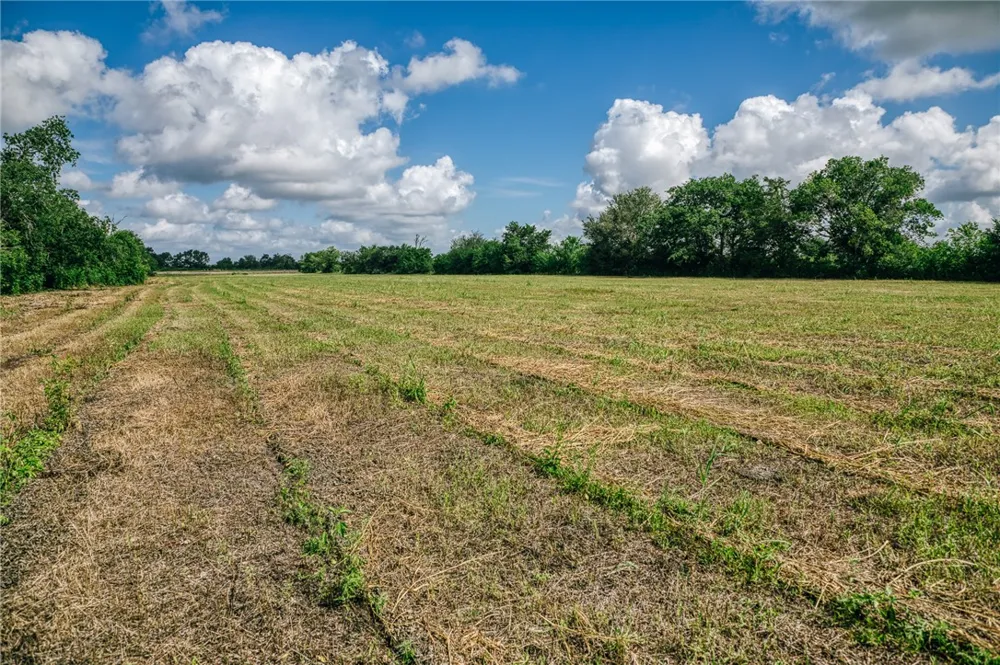 FM 60 Snook, TX 77878