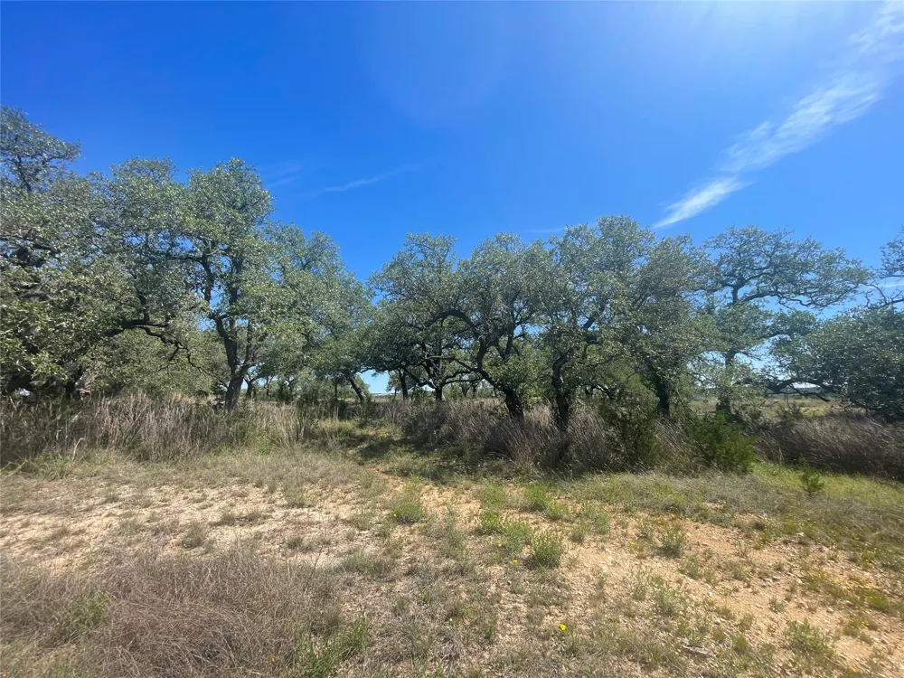6500 W Highway 290 Highway Dripping Springs, TX 78620