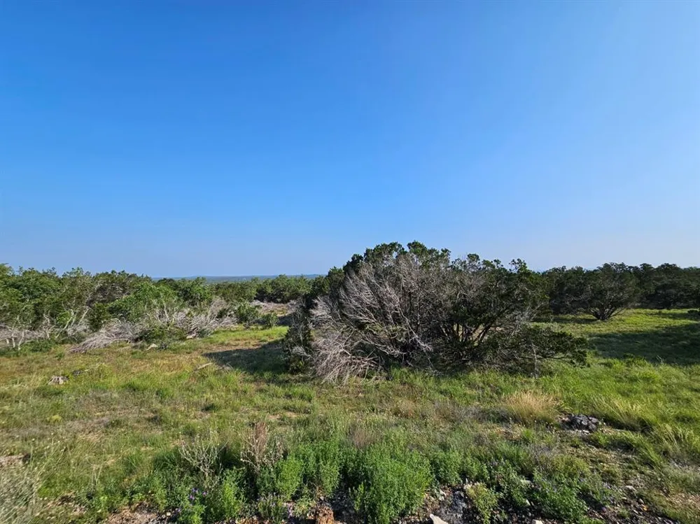 Windmill Ridge Drive Blanco, TX 78606