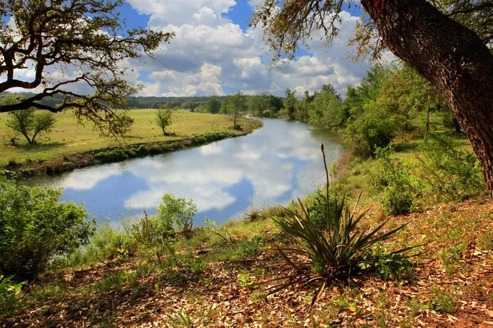 342 Bridge Water Loop Dripping Springs, TX 78620