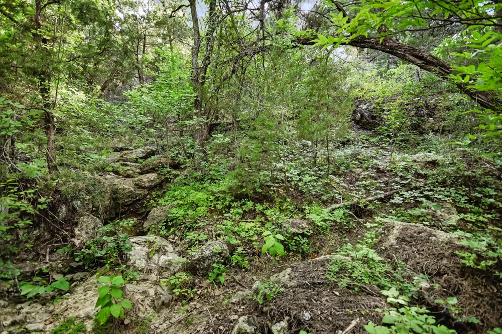McGregor Lane Dripping Springs, TX 78620