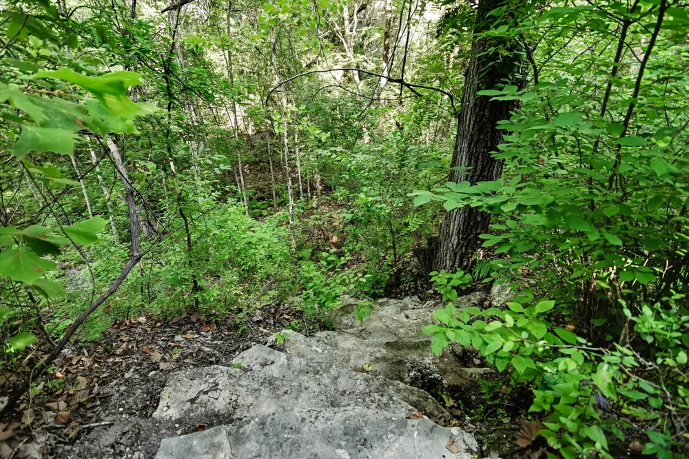 McGregor Lane Dripping Springs, TX 78620