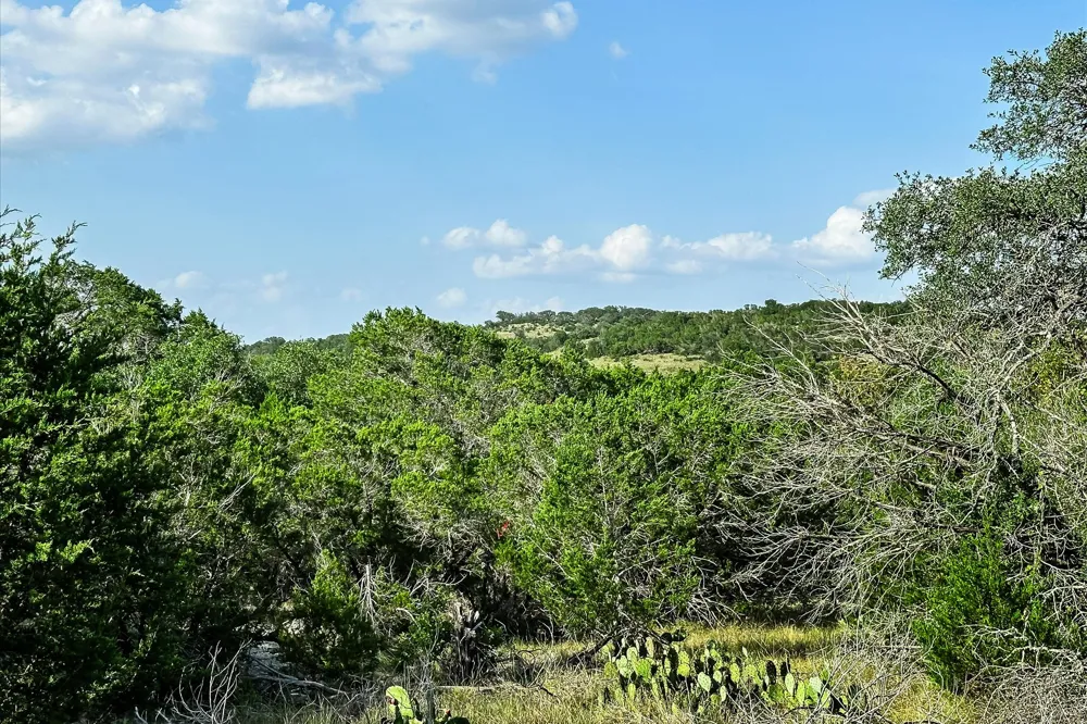 McGregor Lane Dripping Springs, TX 78620