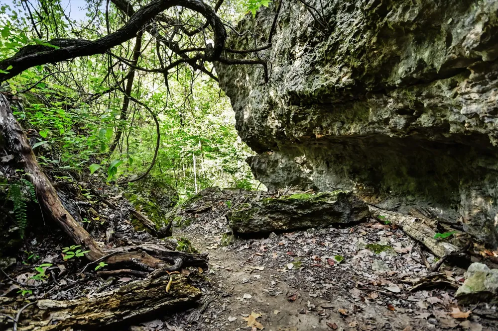 McGregor Lane Dripping Springs, TX 78620