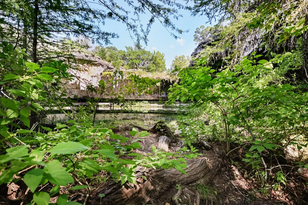 McGregor Lane Dripping Springs, TX 78620