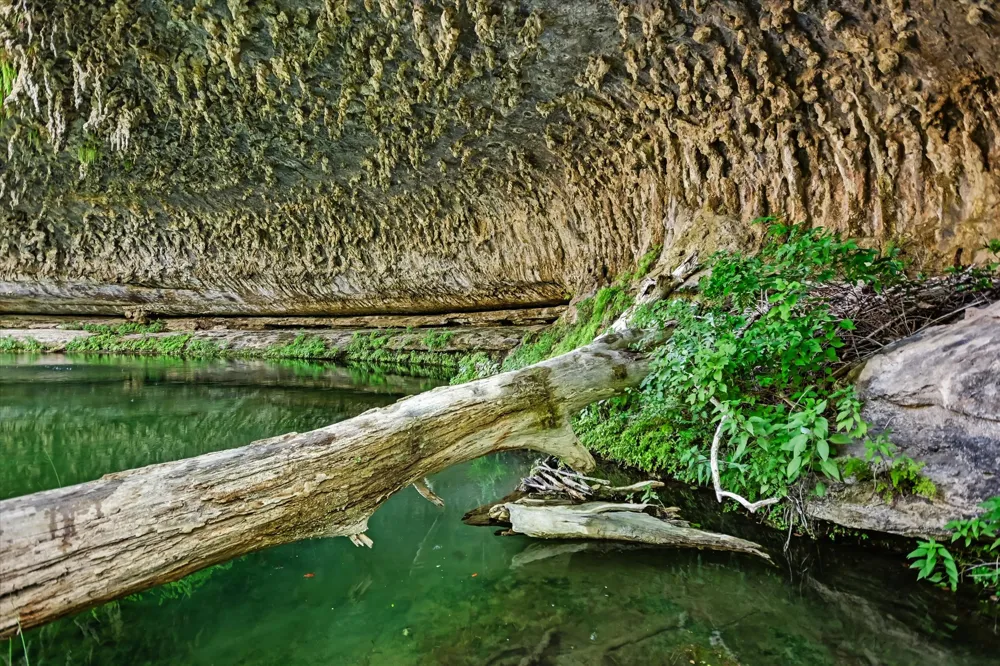McGregor Lane Dripping Springs, TX 78620