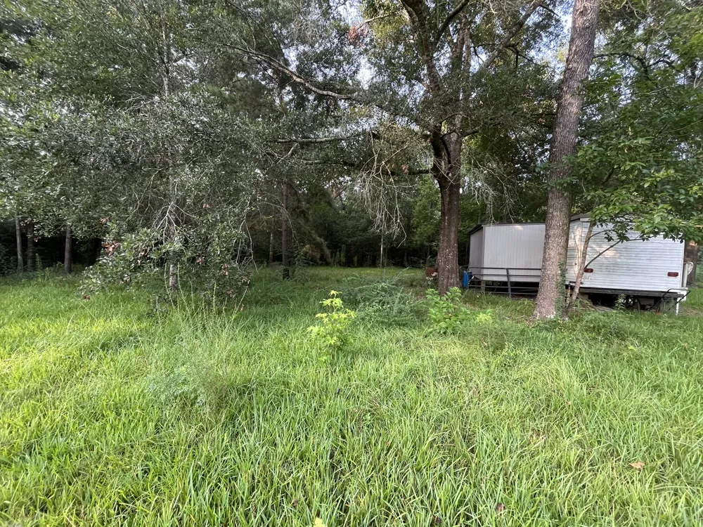 26312 Hunters Trail New Caney, TX 77357