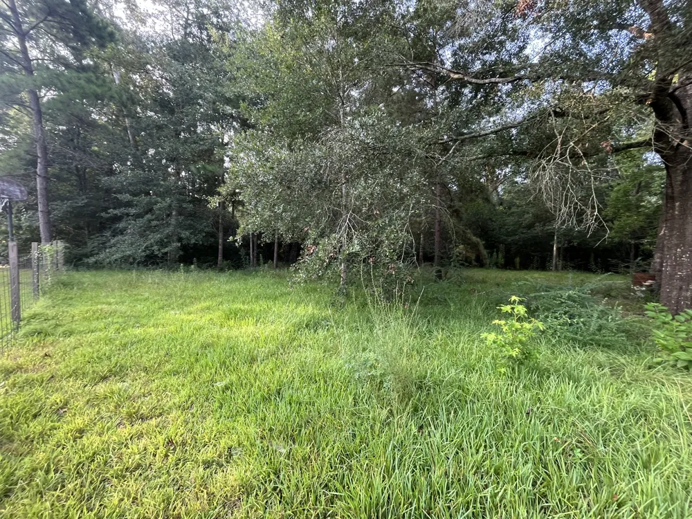 26312 Hunters Trail New Caney, TX 77357