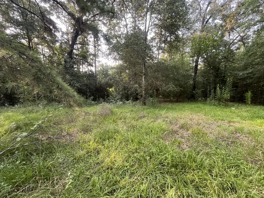 26312 Hunters Trail New Caney, TX 77357