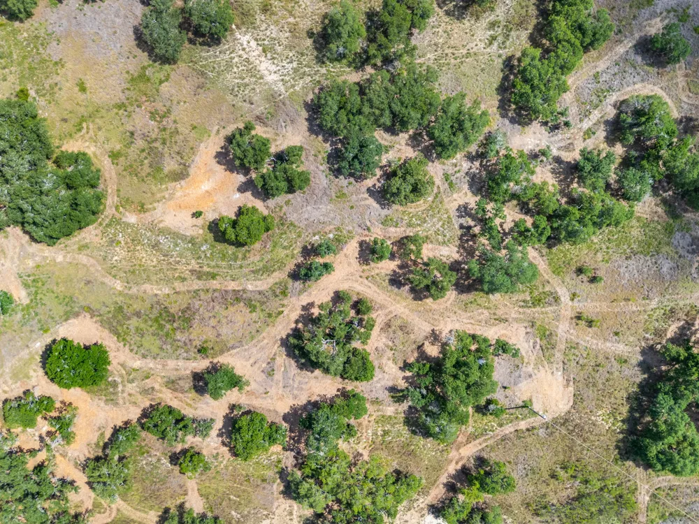 5385 Ranch Road 165 Blanco, TX 78606