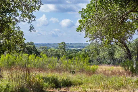 5385 Ranch Road 165