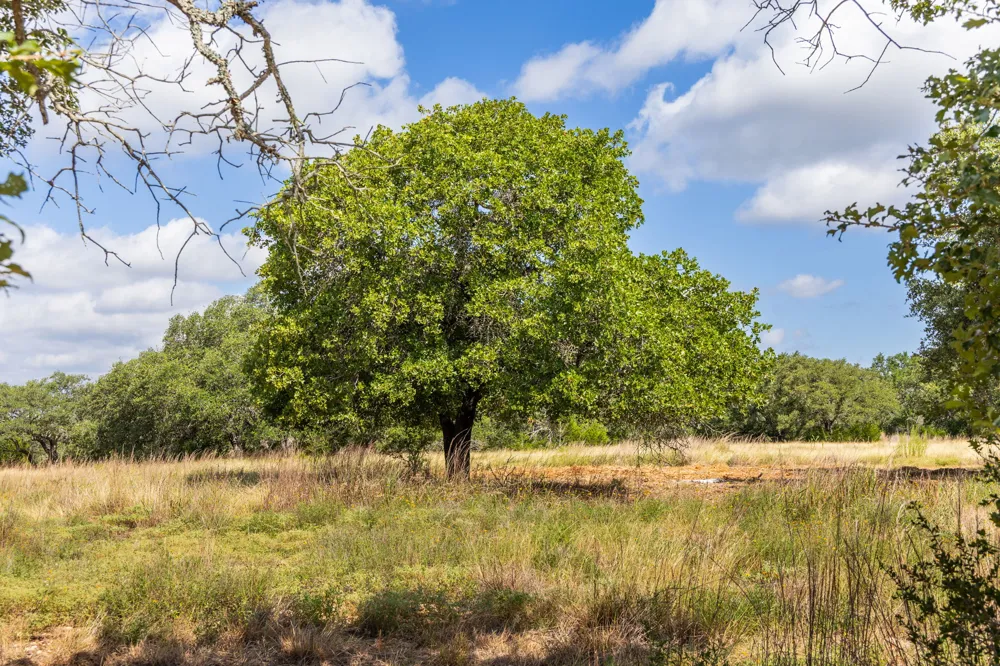 5385 Ranch Road 165 Blanco, TX 78606