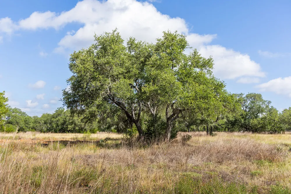 5385 Ranch Road 165 Blanco, TX 78606