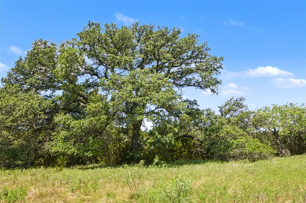 3250 County Road 2207 Road Lampasas, TX 76550