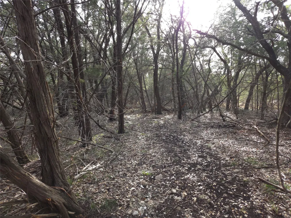 Oakland Road Georgetown, TX 78633