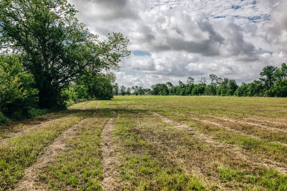 FM 60 Snook, TX 77878