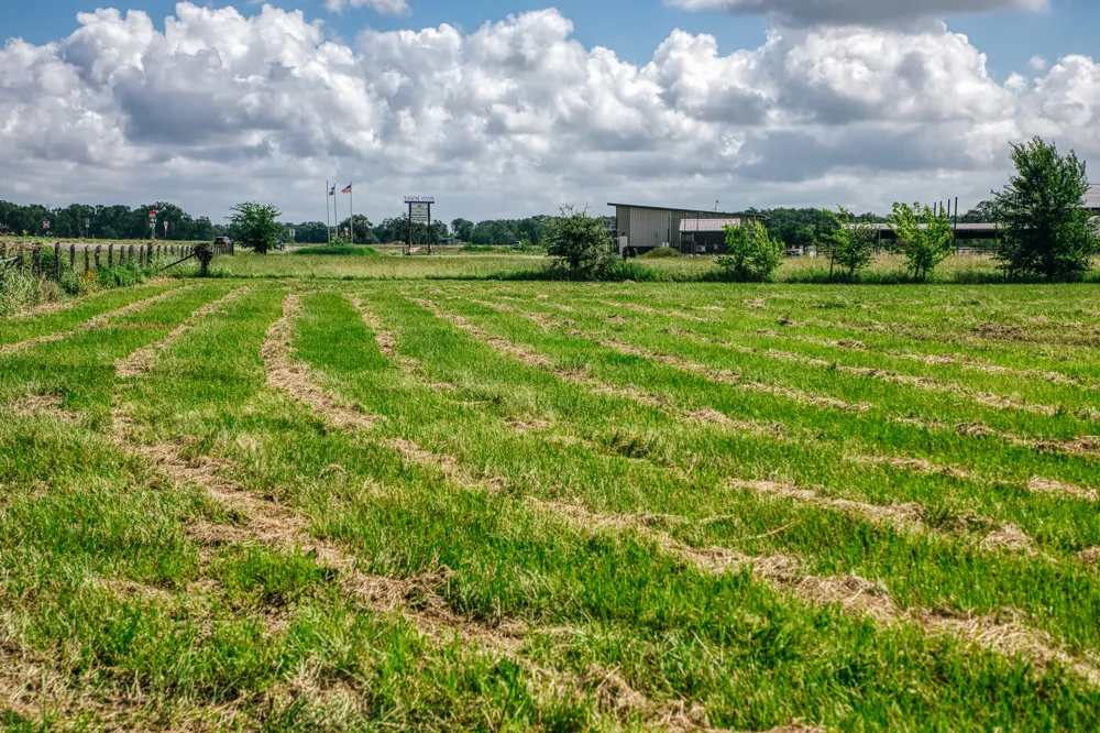 FM 60 Snook, TX 77878