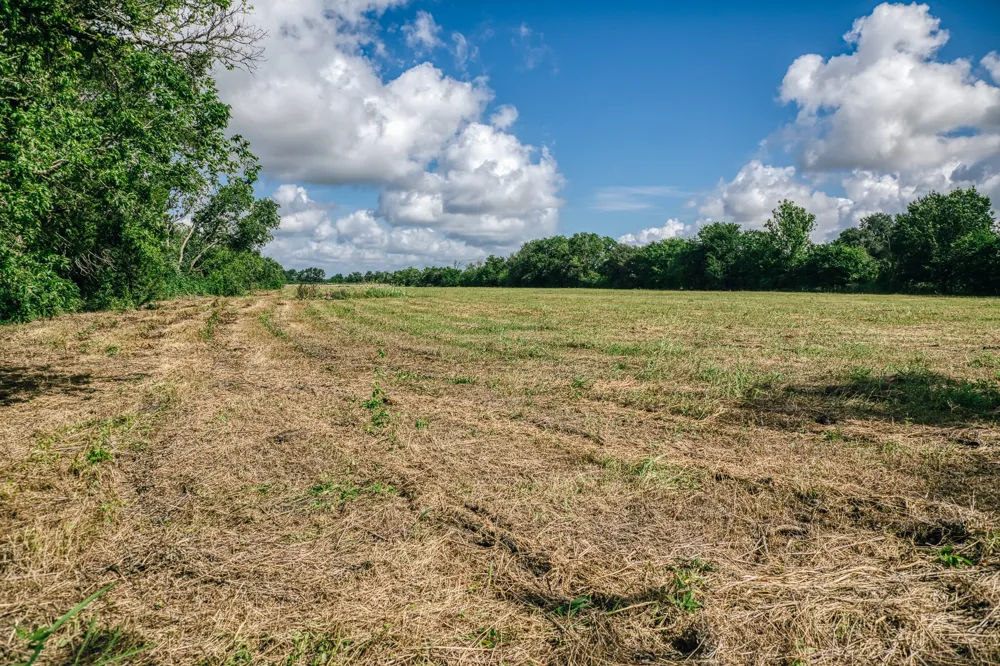 FM 60 Snook, TX 77878